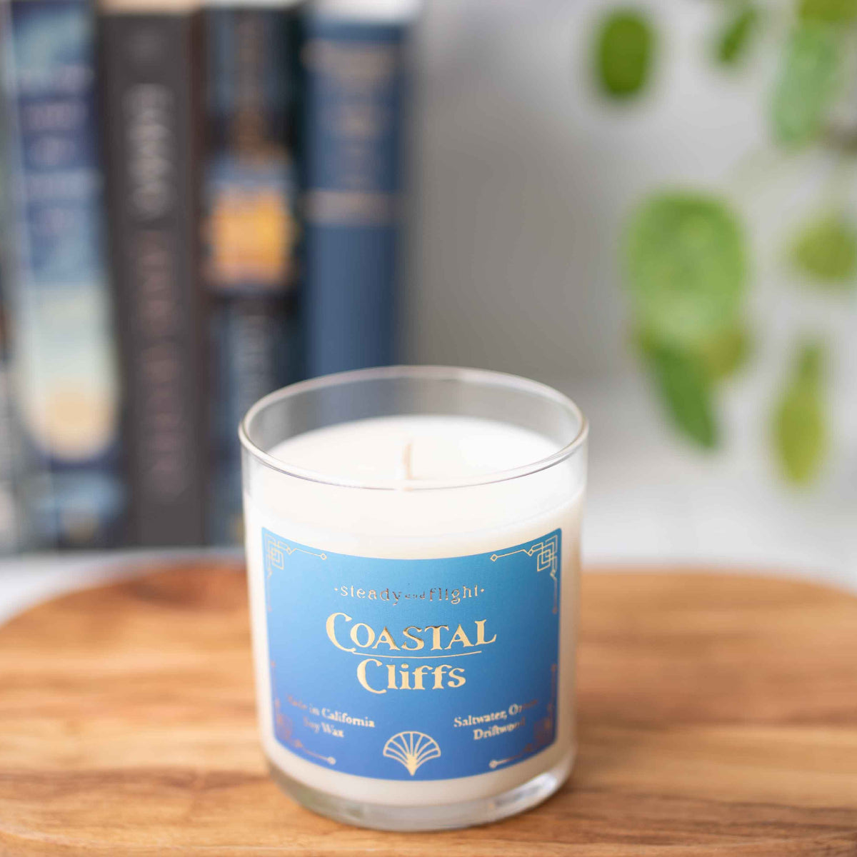 coastal cliffs ocean inspired candle by steady and flight