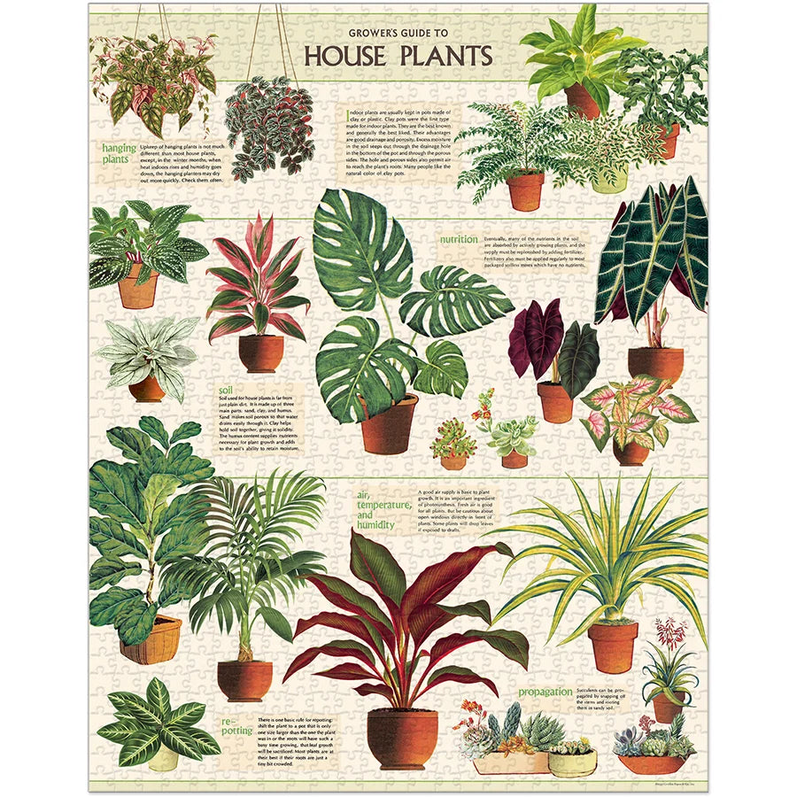 Vintage House Plants - USED