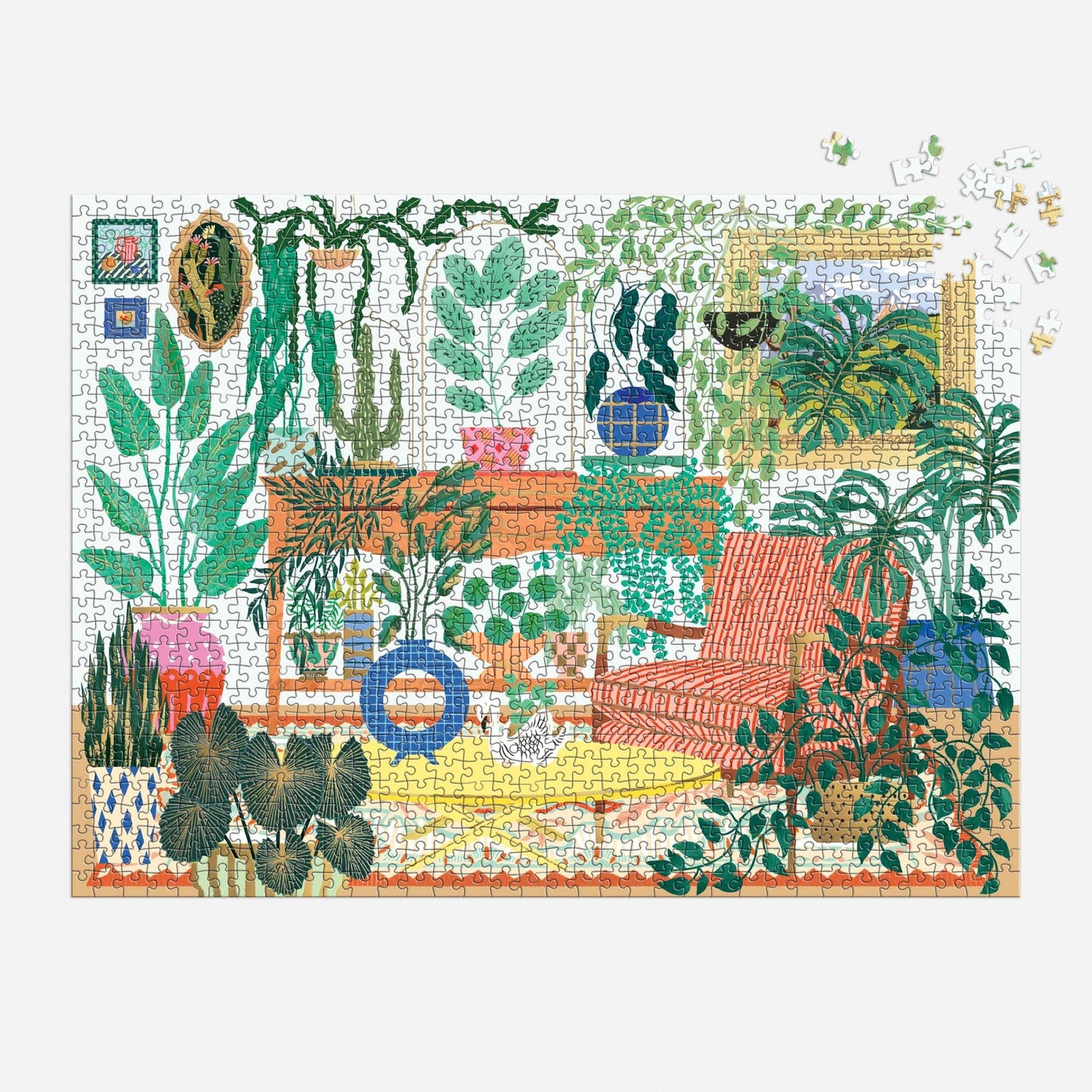 Houseplant Haven