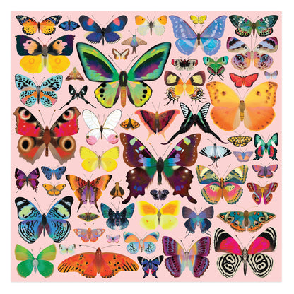 Brilliant Butterflies