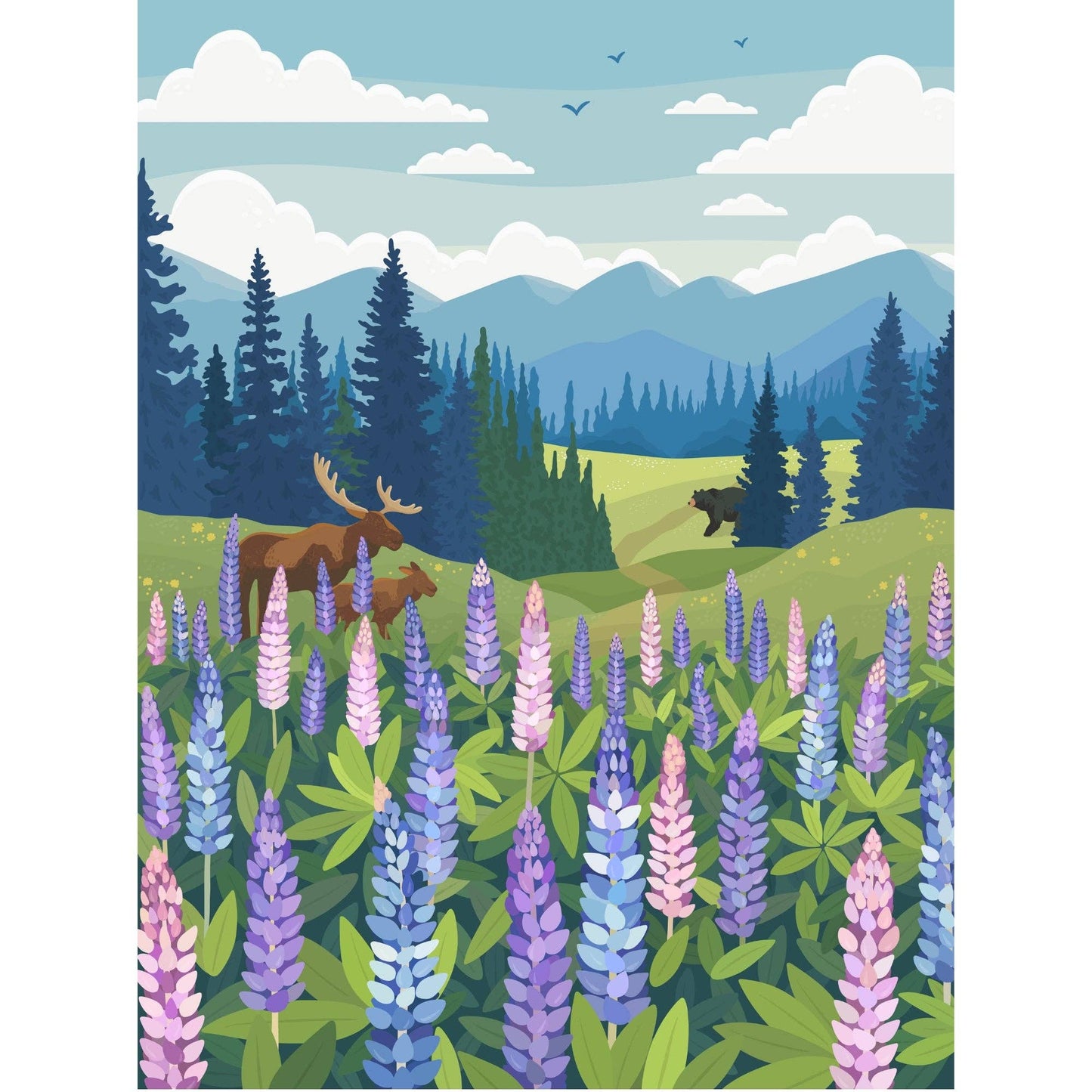Lupines Meadow - Damaged Box