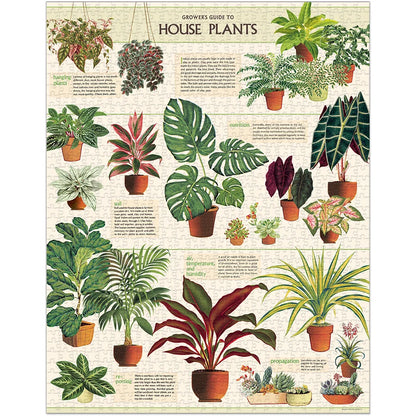 Vintage House Plants - USED
