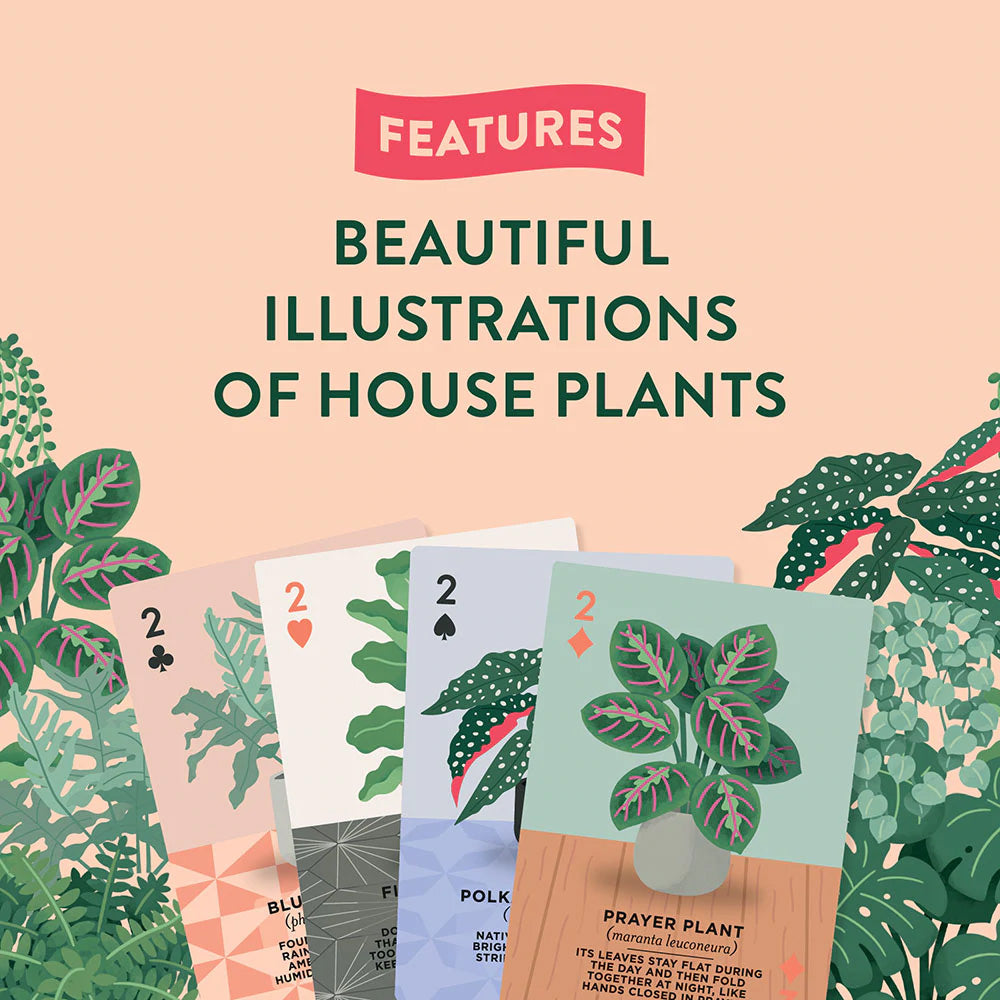 house plants playing cards by ridley games