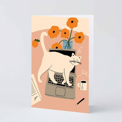 stop working cat on laptop card by wrap