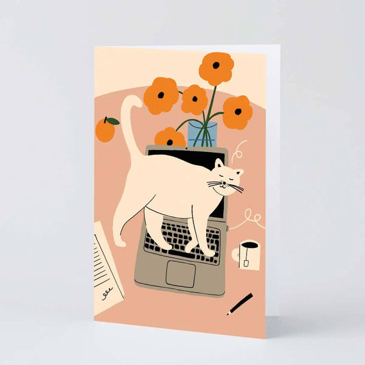 stop working cat on laptop card by wrap